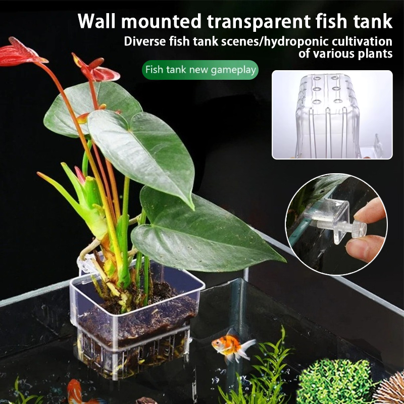 Aquarium Plant Holder - Vasi pensili per acquario, supporti a