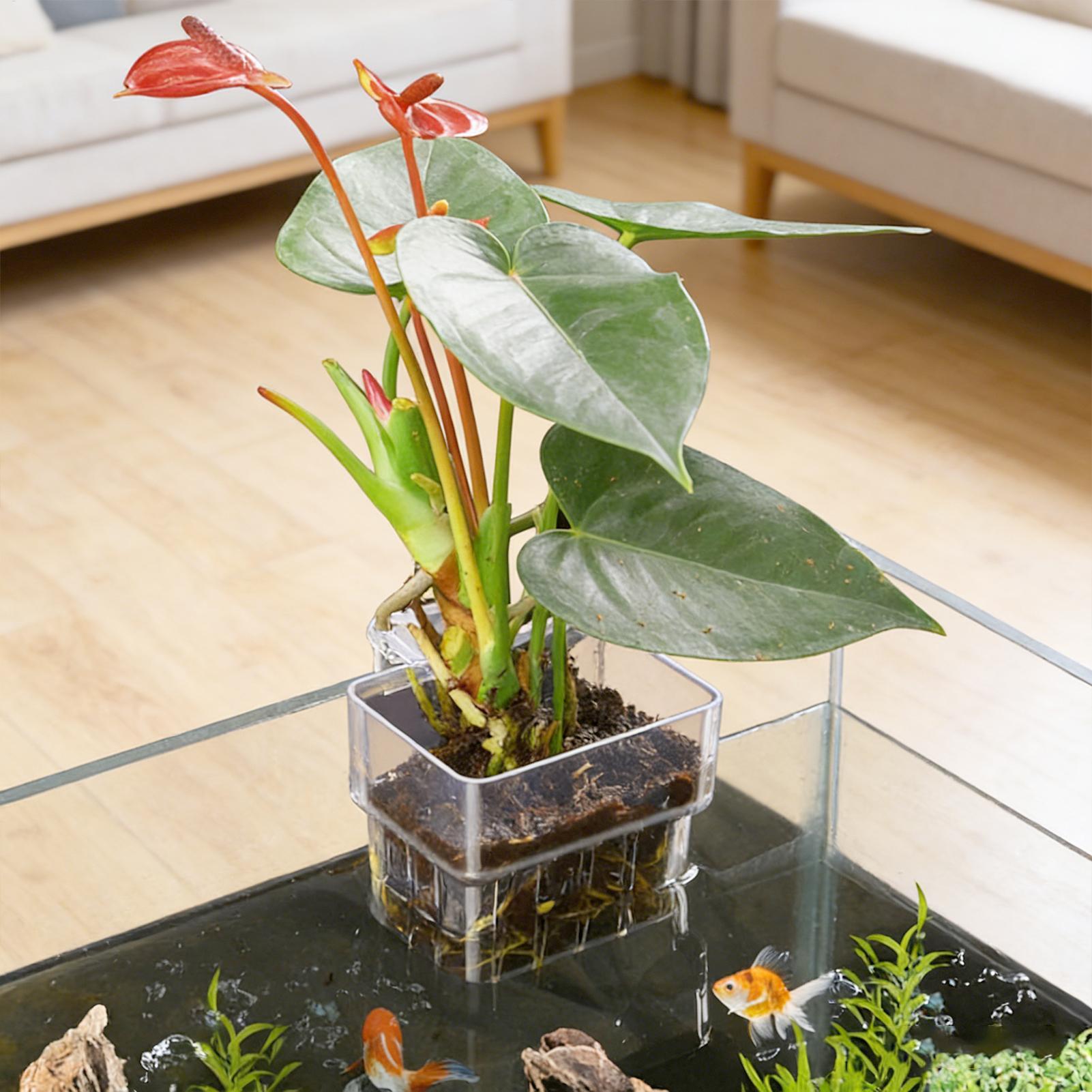 Aquarium Plant Holder - Cesto per Piante d'Acquario Trasparente, Decorazioni
