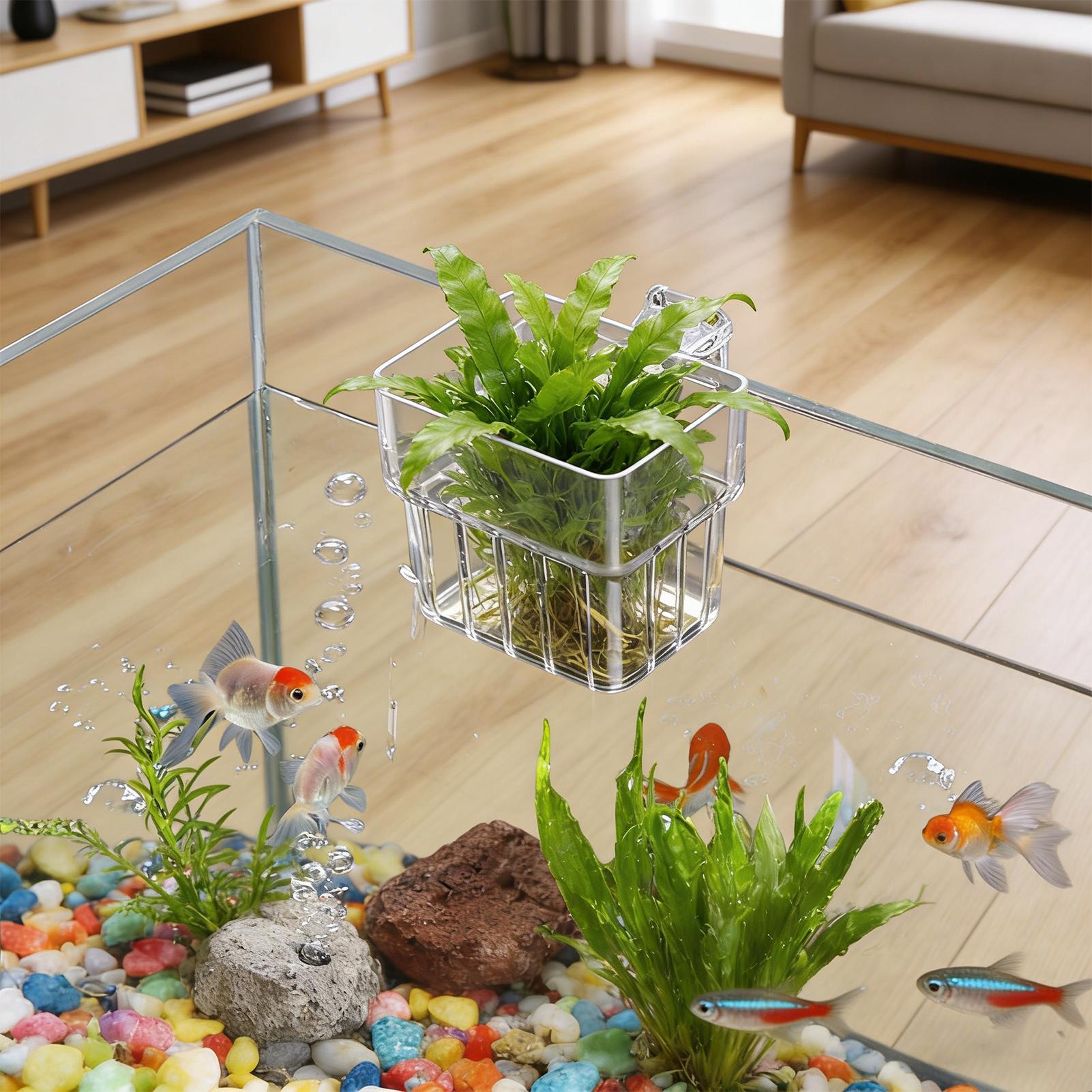 Aquarium Plants Live - Vaso Trasparente Appendibile per Piante d'Acquario,