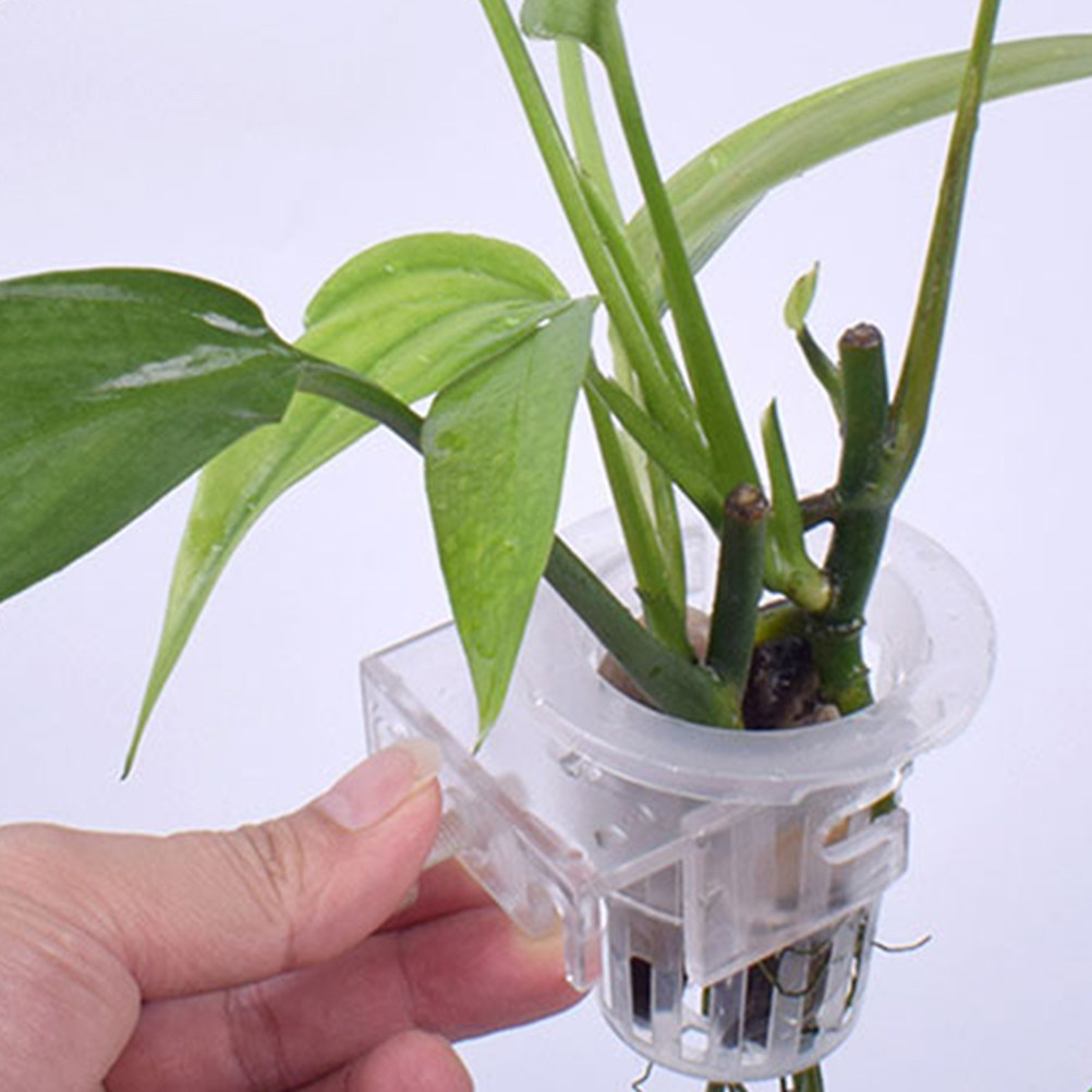 Planted Tank - 2 pezzi di supporti per piante
