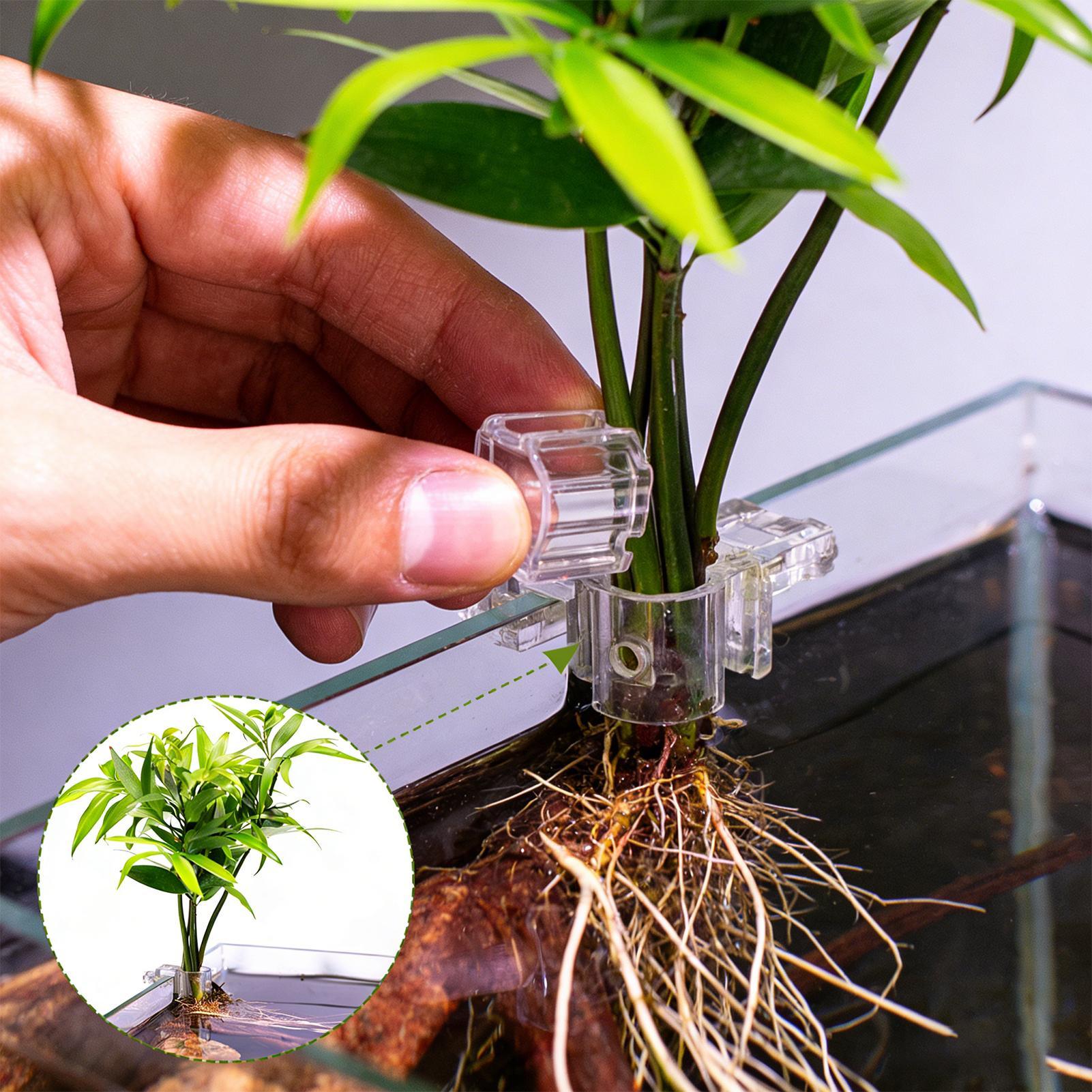 Plant Aquarium Pot - Mini Vaso per Piante da Acquario,