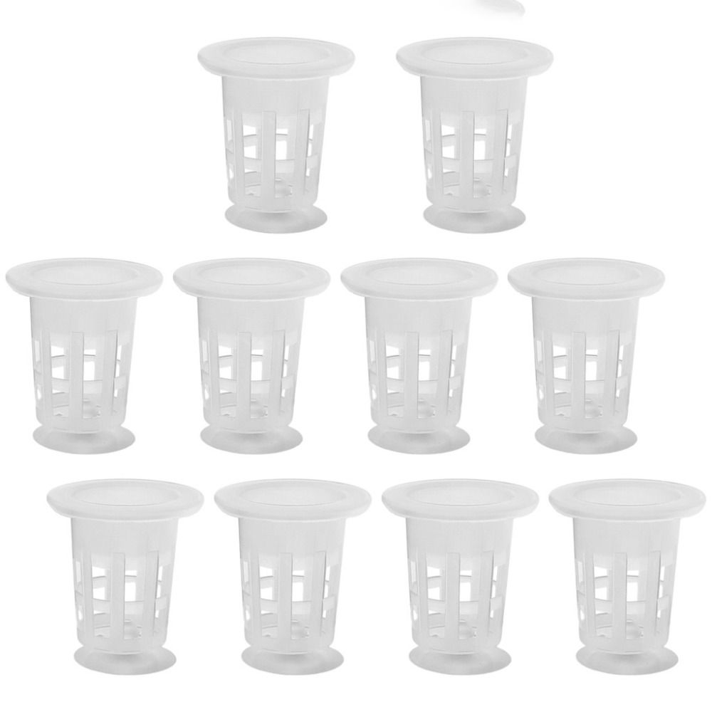 10 Pezzi Vasi Idroponici Trasp - Aquarium Plant Holder recensione e prezzo