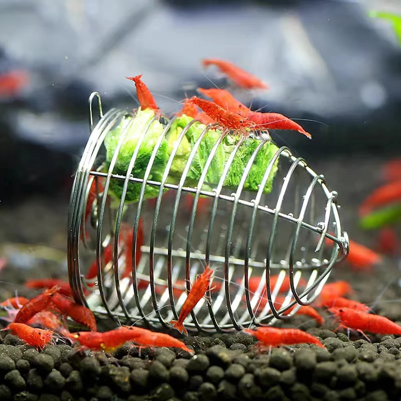 Acquario in acciaio inossidabi - Aquarium Fertilizer recensione e prezzo