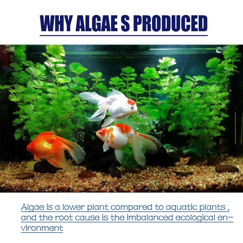 Algaecida ad alta efficienza d - Aquarium Fertilizer recensione e prezzo
