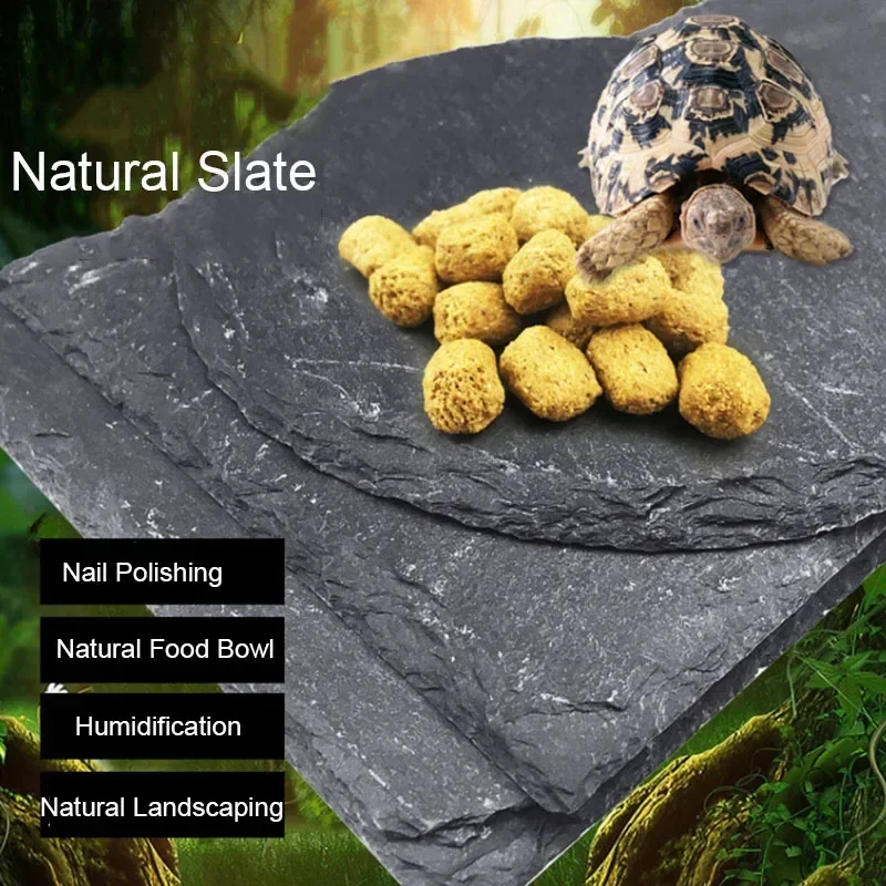 Natural Slate Aquarium Pet ret - Aquarium Driftwood recensione e prezzo