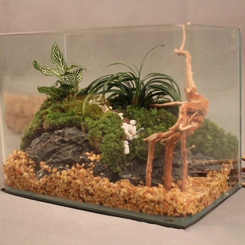 Tronco d'albero naturale Drift - Aquarium Plant Substrate recensione e prezzo