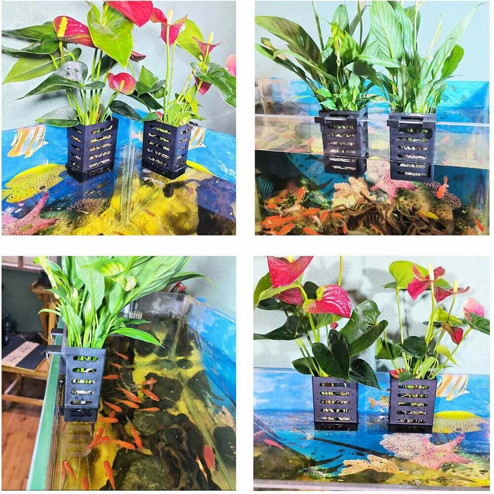 Porta piante per acquario con  - Aquarium Plant Holder recensione e prezzo