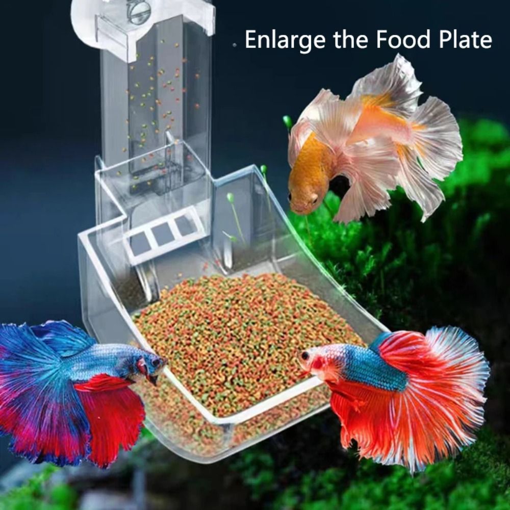 Nuovo trasparente acquario per - Aquarium Fertilizer recensione e prezzo