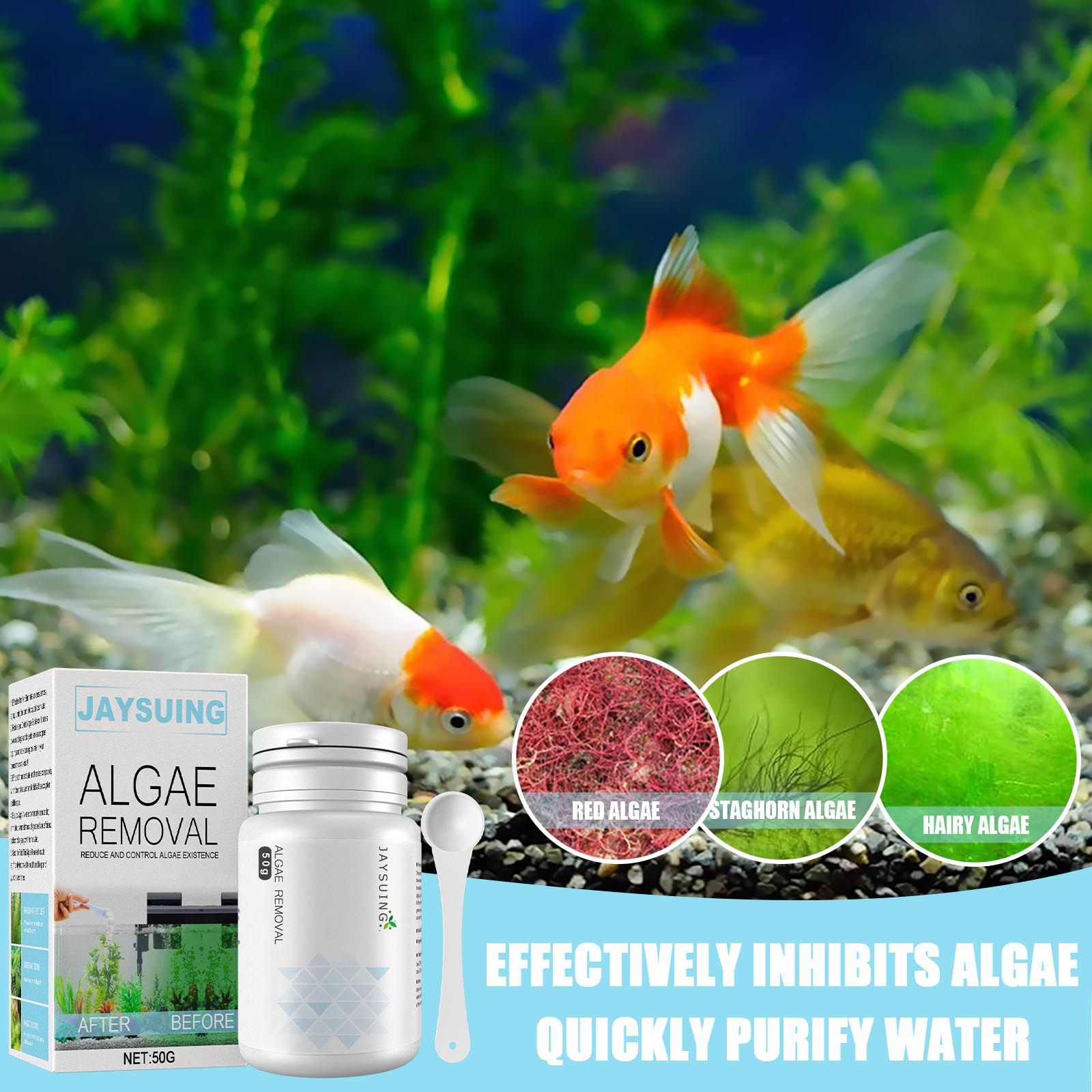Polvere per la rimozione delle - Aquarium Moss recensione e prezzo