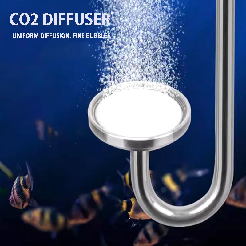 Nebulizzatore di CO2 per acqua - Aquarium Liquid Carbon recensione e prezzo