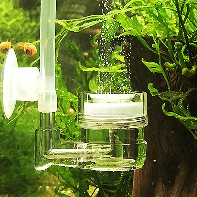 Acquario 4 in 1 Diffusore di C - Live Plant Aquarium recensione e prezzo