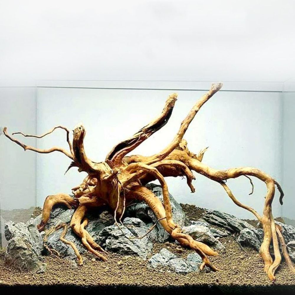 Legno Naturale per Acquario 20 - Aquarium Driftwood recensione e prezzo