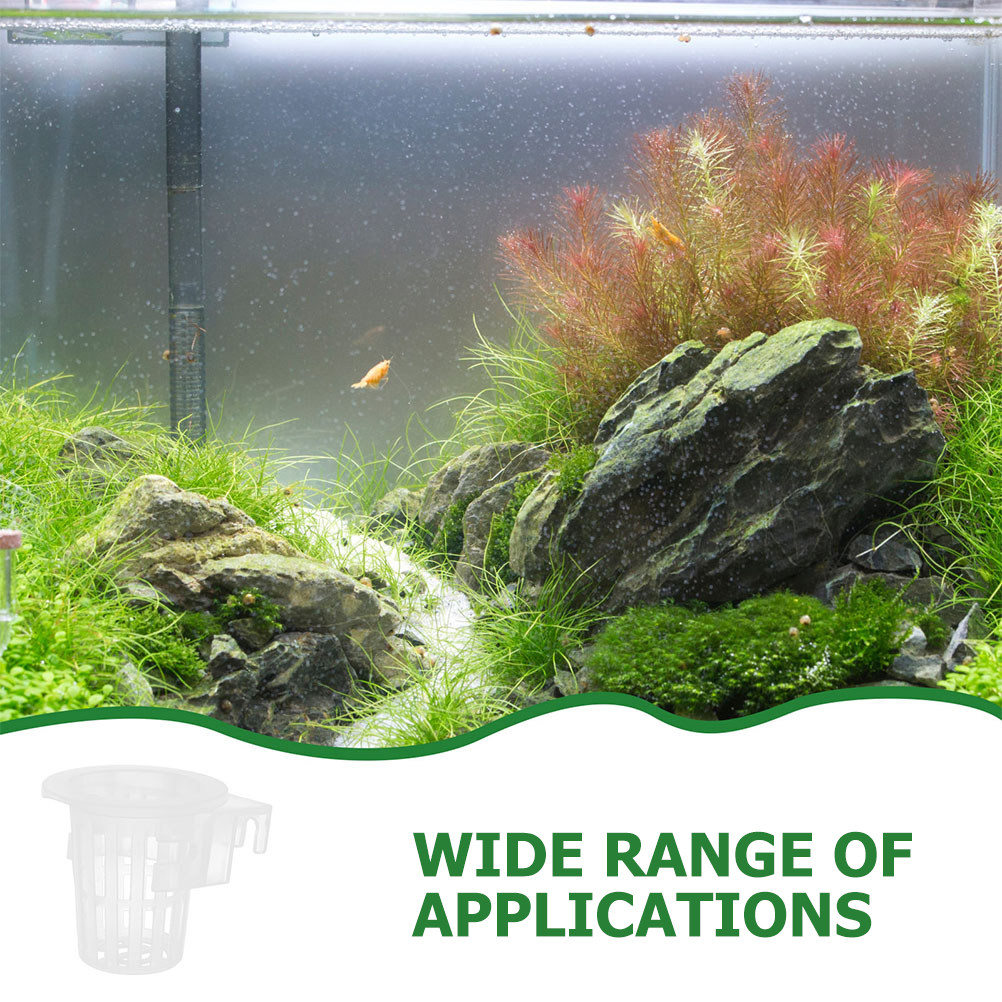 2 pezzi di supporti per piante - Planted Tank recensione e prezzo
