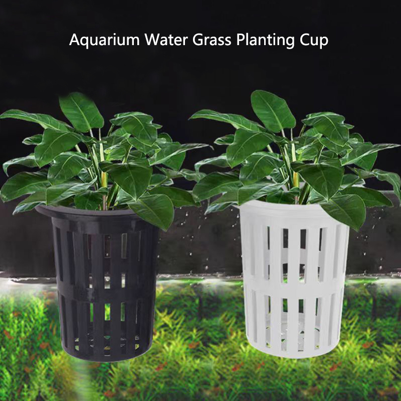 1/3 pezzi cesto per piante d'a - Aquarium Plants Live recensione e prezzo