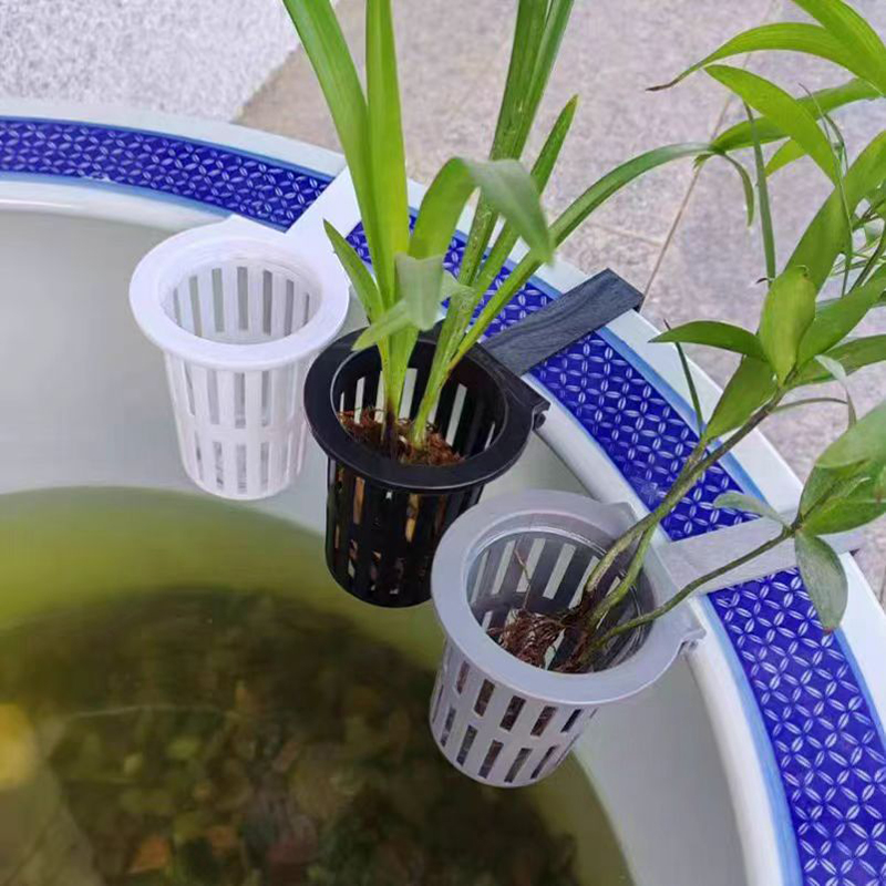 1/3 pezzi cesto per piante d'a - Aquarium Plants Live recensione e prezzo