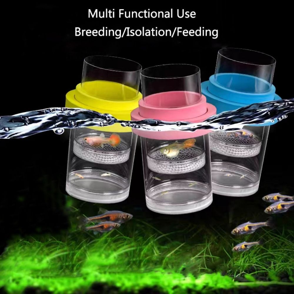 Scatola di isolamento per alle - Aquarium Fertilizer recensione e prezzo