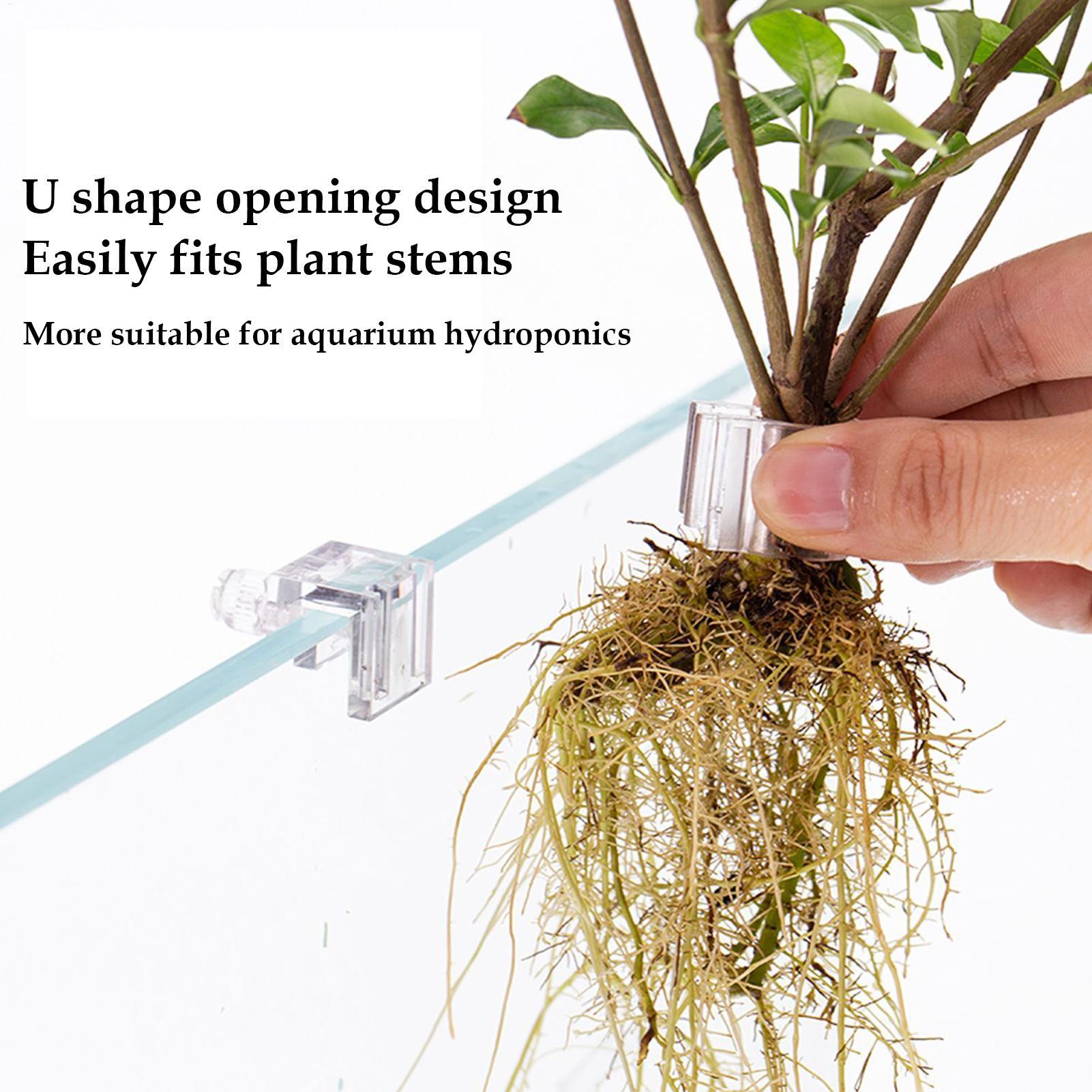 Mini Vaso per Piante da Acquar - Plant Aquarium Pot recensione e prezzo