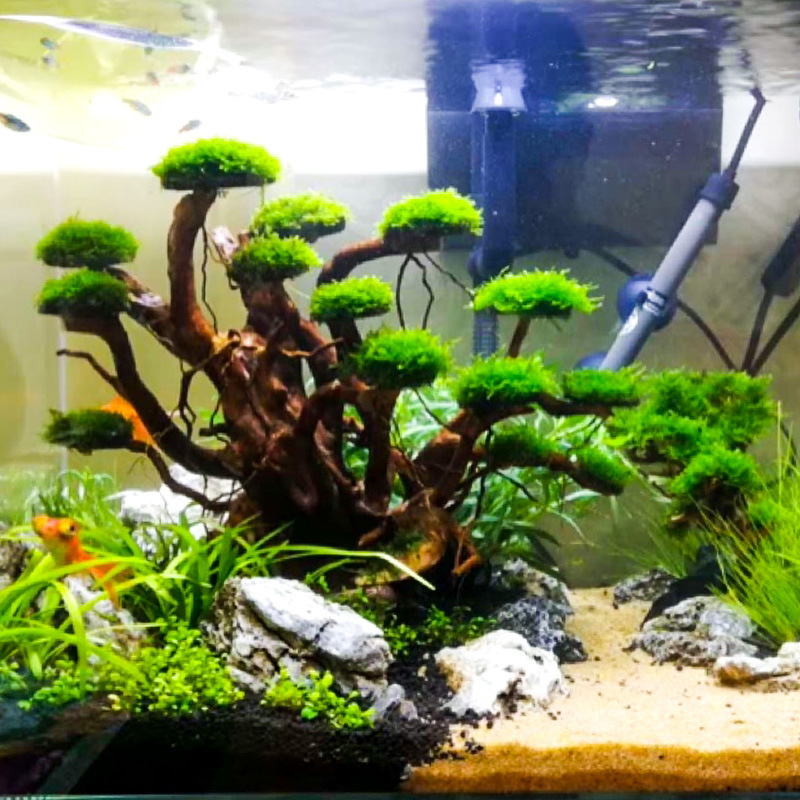 Decorazione per Acquario: Albe - Aquarium Plant Substrate recensione e prezzo