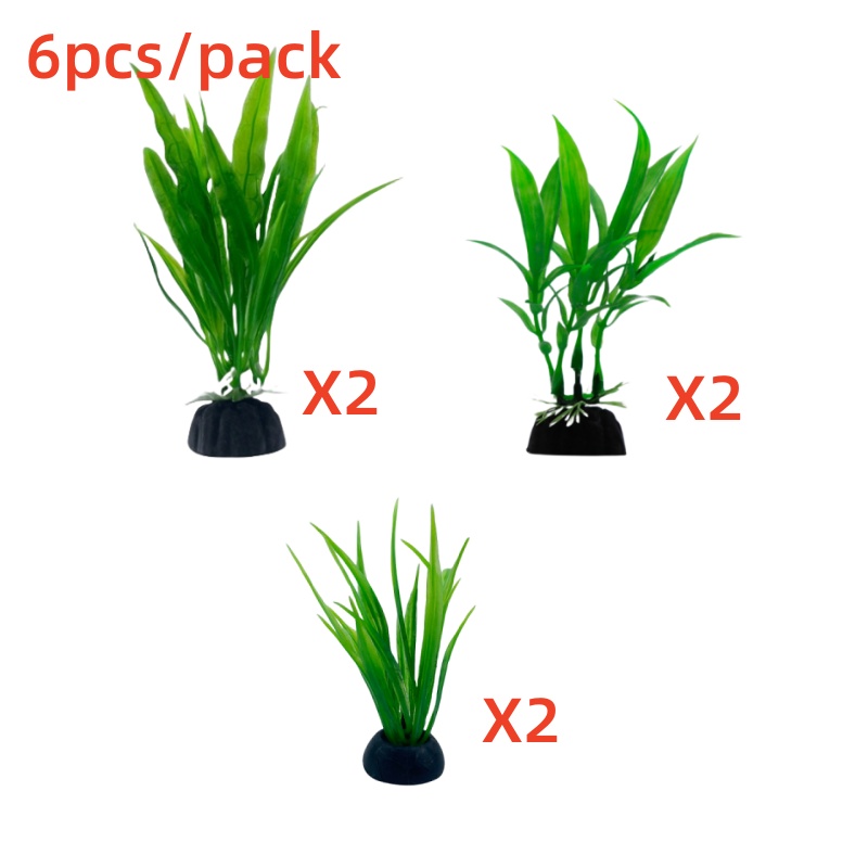 Confezione da 6 pezzi di piant - Live Plant Aquarium recensione e prezzo